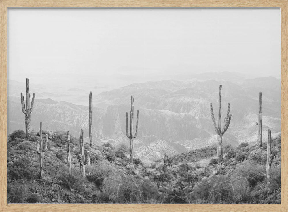 Western Cactus | Poster