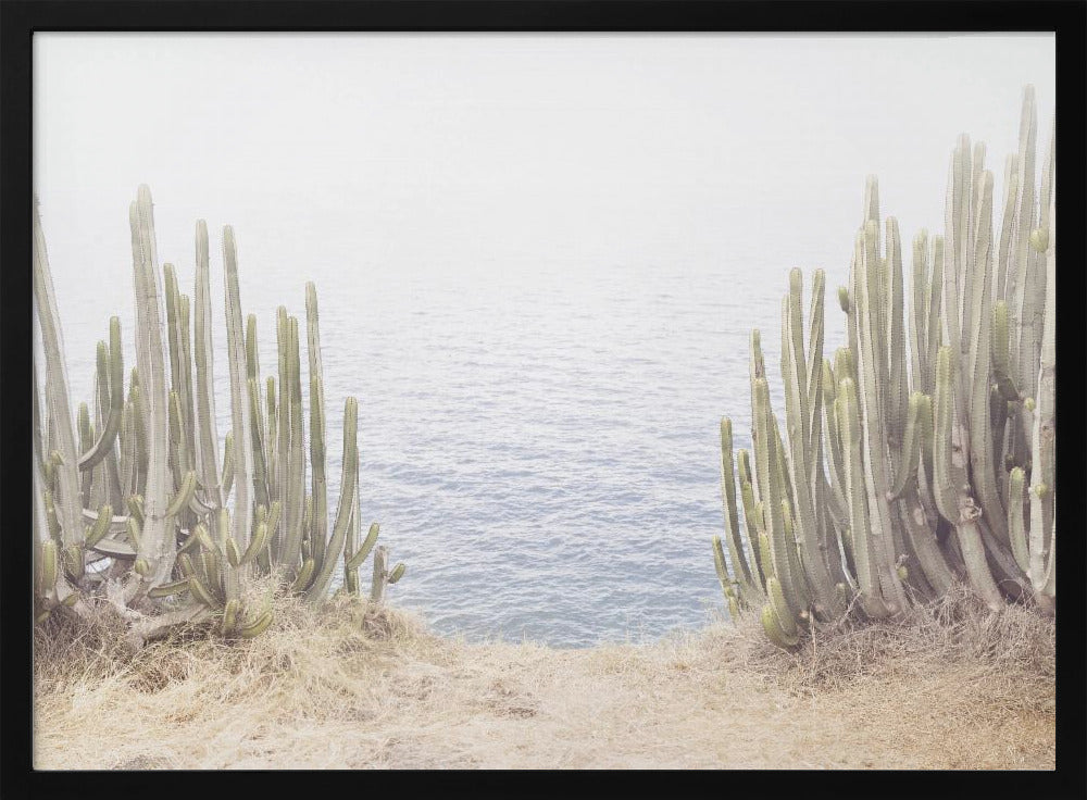 Ocean Cactus | Poster
