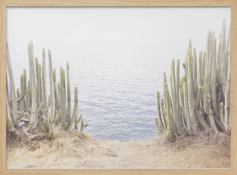 Ocean Cactus | Poster