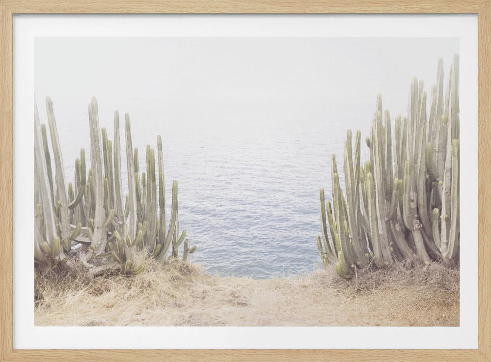 Ocean Cactus | Poster