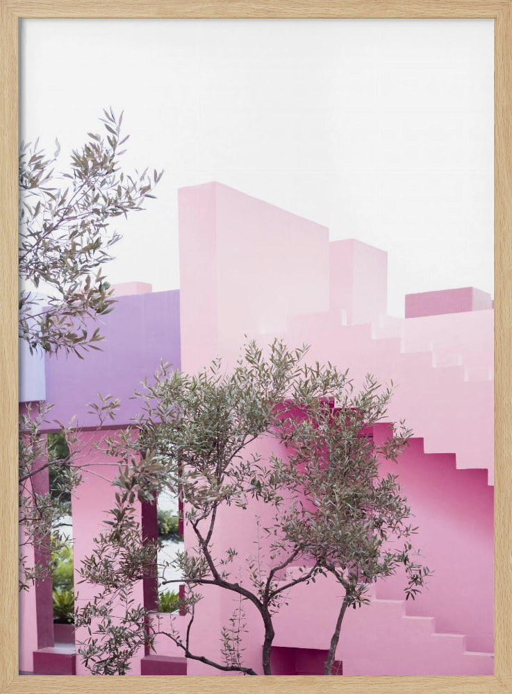 La Muralla Garden | Poster