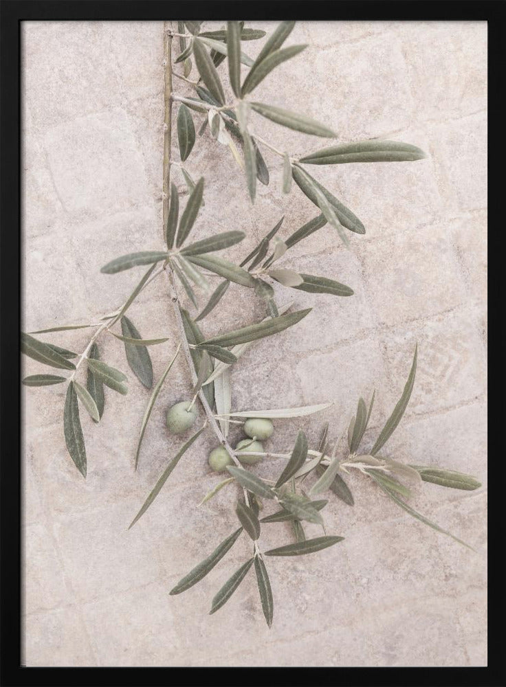 Spanish Tiles | Poster