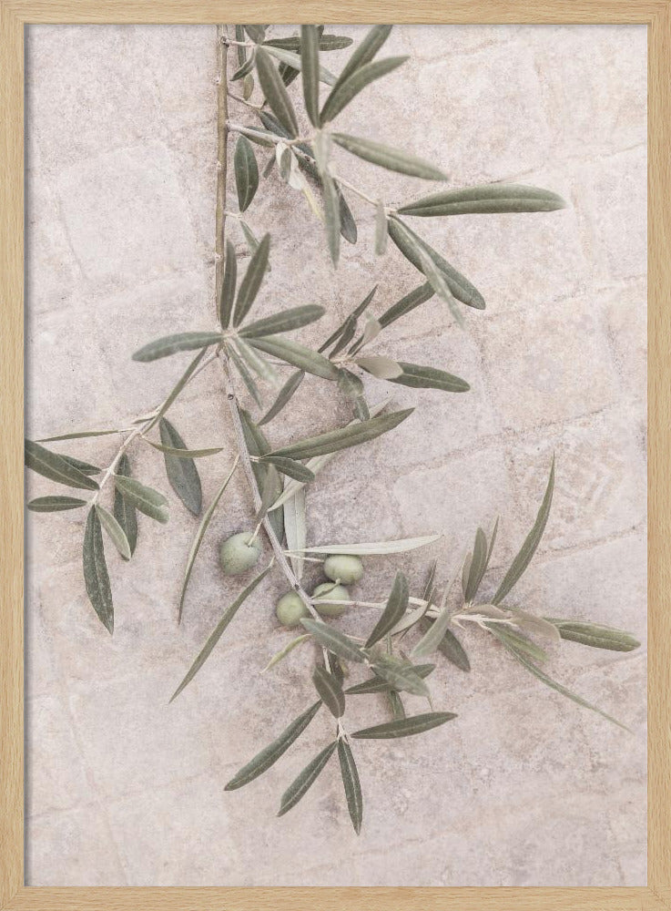 Spanish Tiles | Poster