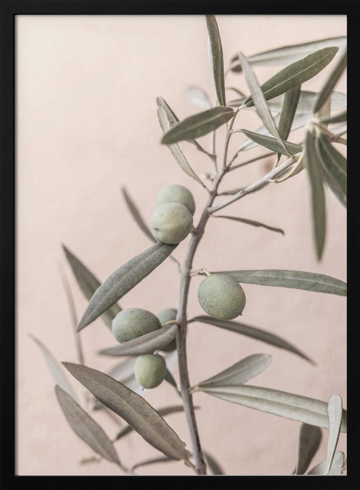 Olives | Poster