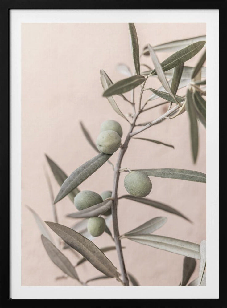 Olives | Poster