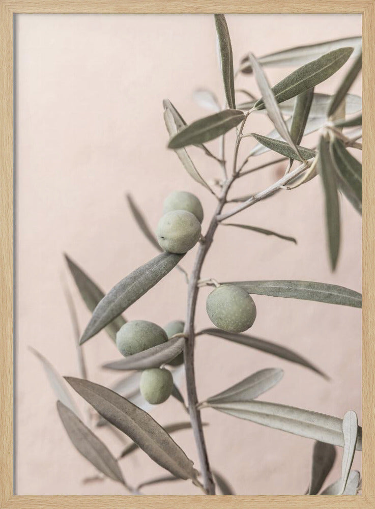 Olives | Poster