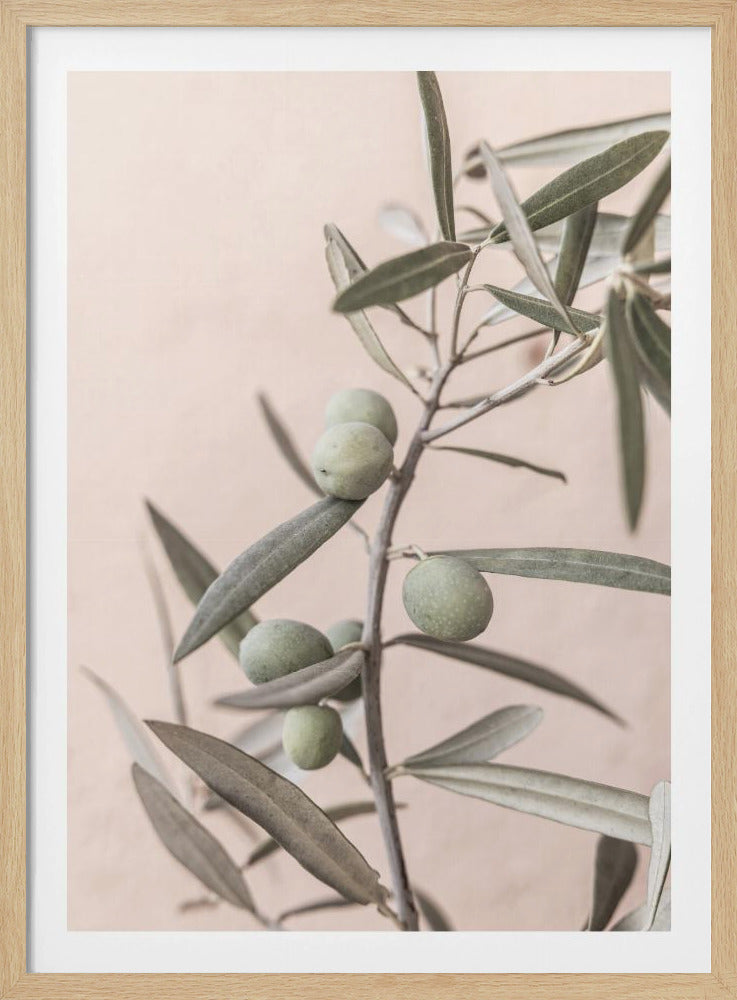 Olives | Poster