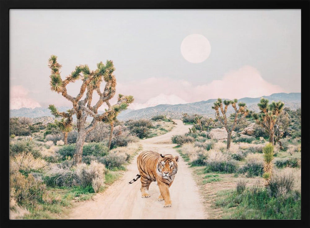 Wandering Tiger | Poster