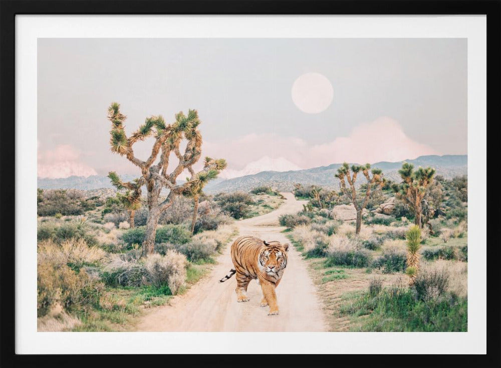 Wandering Tiger | Poster