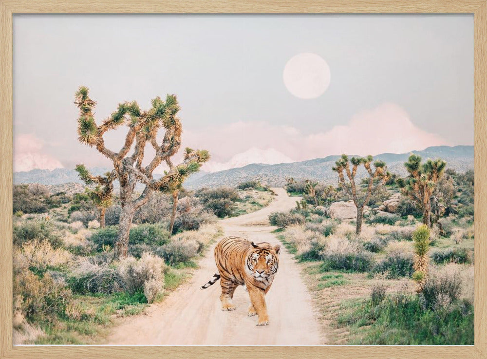 Wandering Tiger | Poster