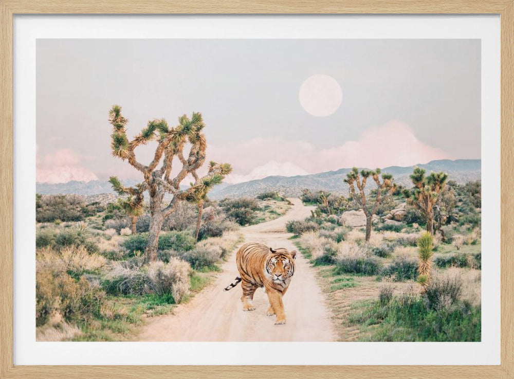 Wandering Tiger | Poster