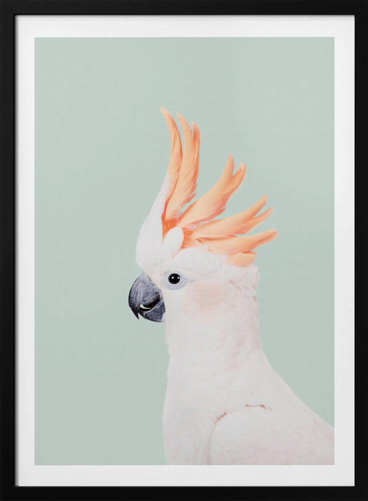 Cockatoo on Mint | Poster