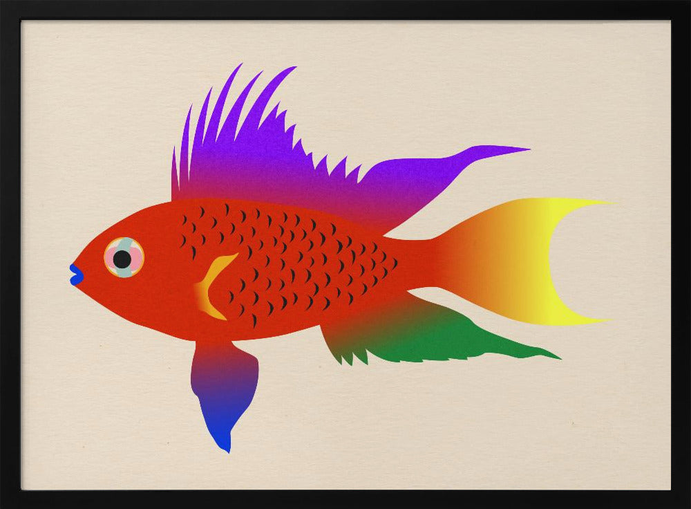 Buntbarsch Hell | Poster