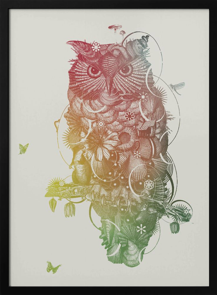 Owl | Poster