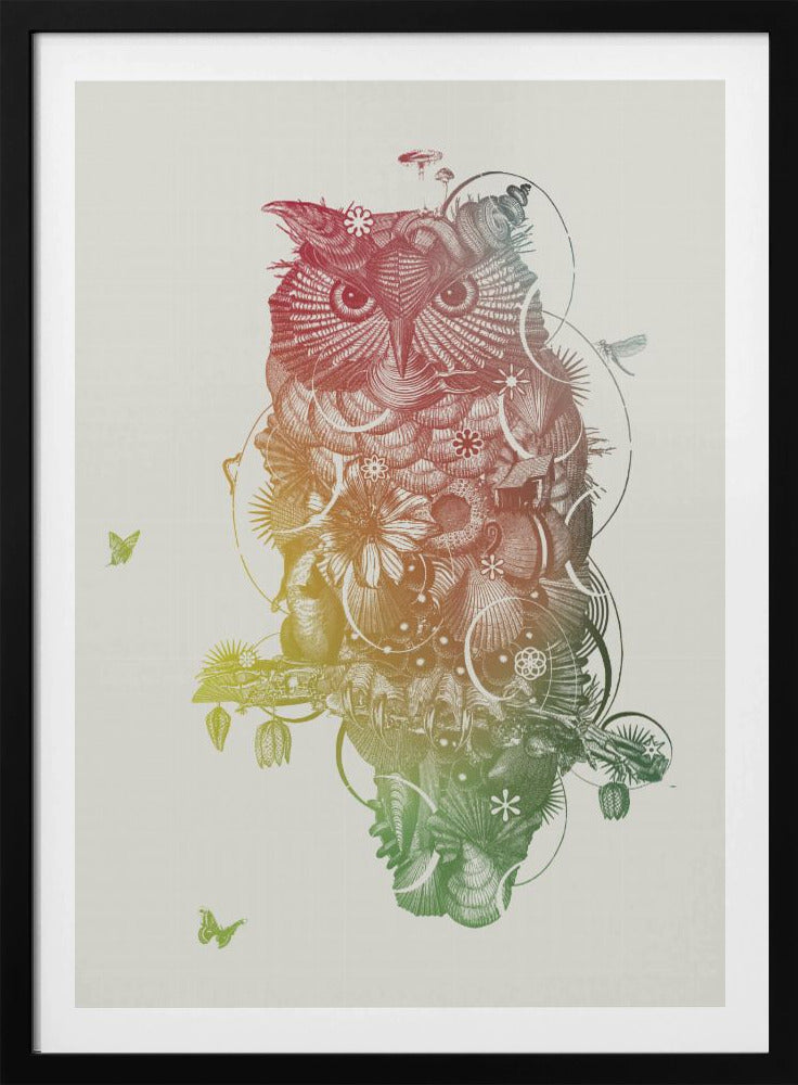 Owl | Poster