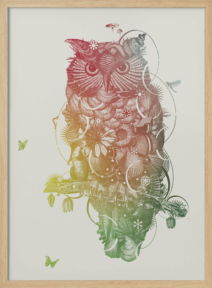Owl | Poster