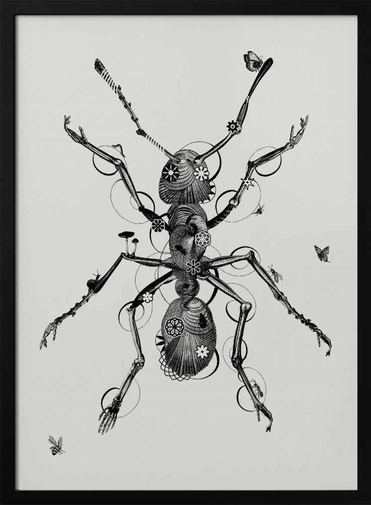 Ant | Poster