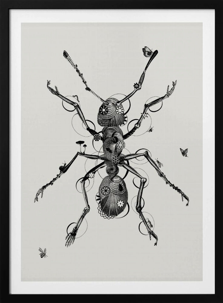 Ant | Poster