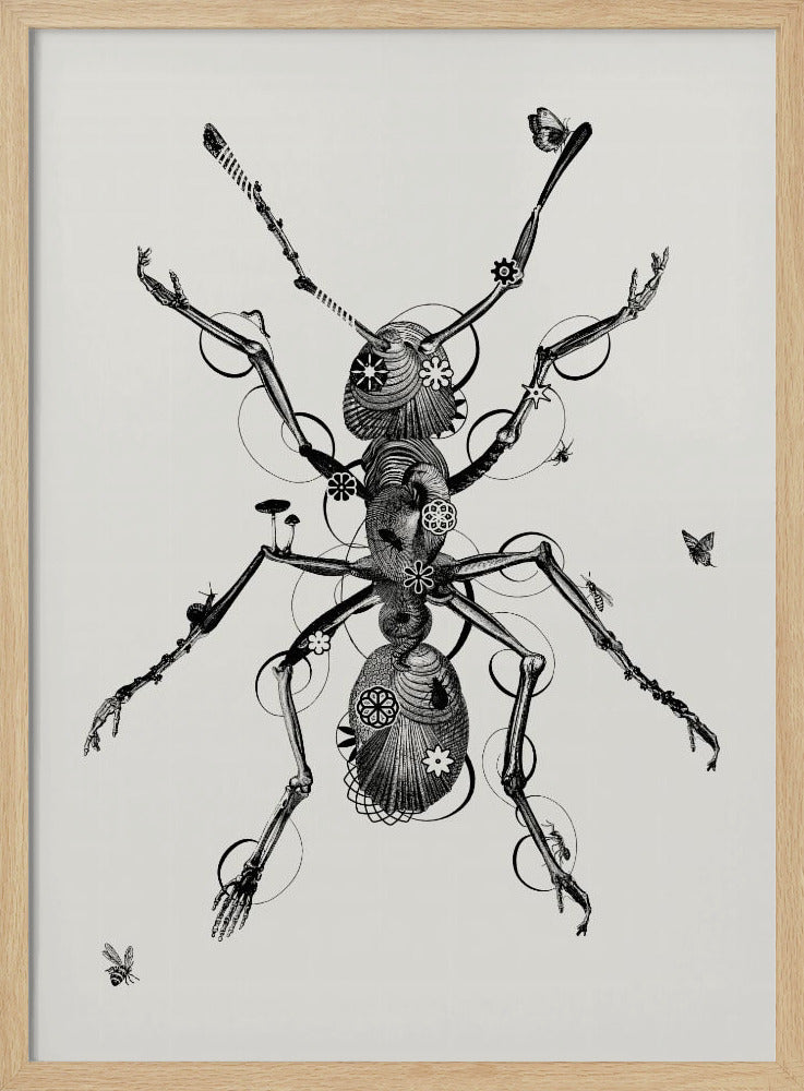 Ant | Poster