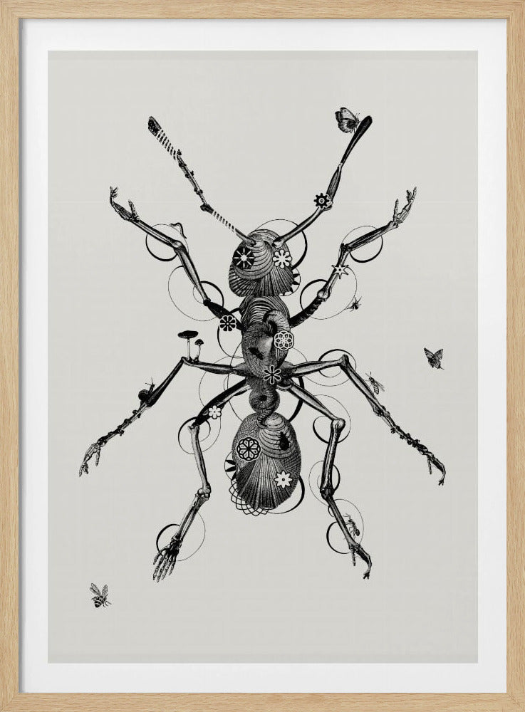 Ant | Poster