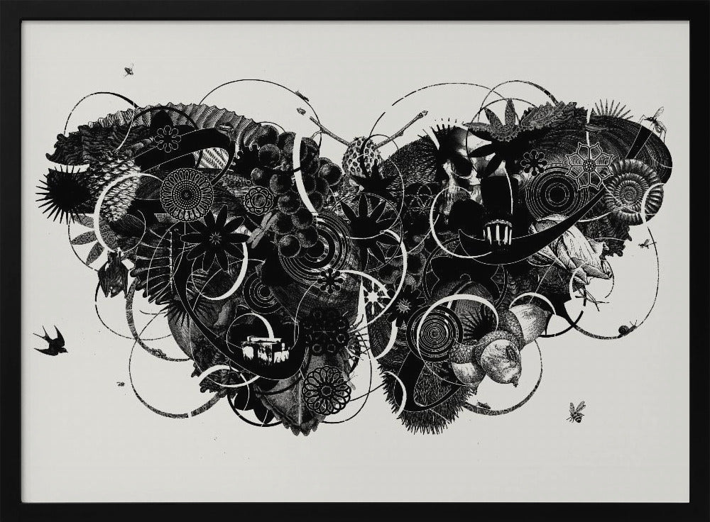 Butterfly 3 | Poster