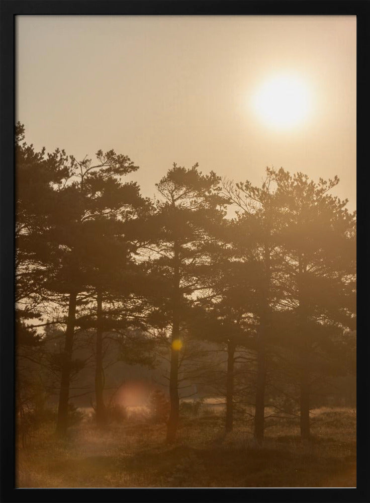 A Morning Scene 5 | Poster