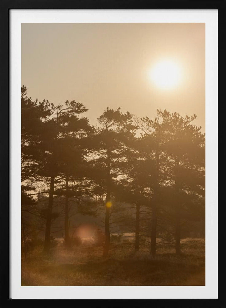 A Morning Scene 5 | Poster