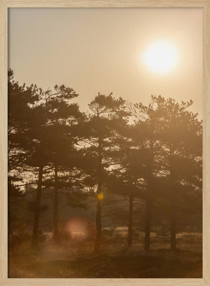 A Morning Scene 5 | Poster