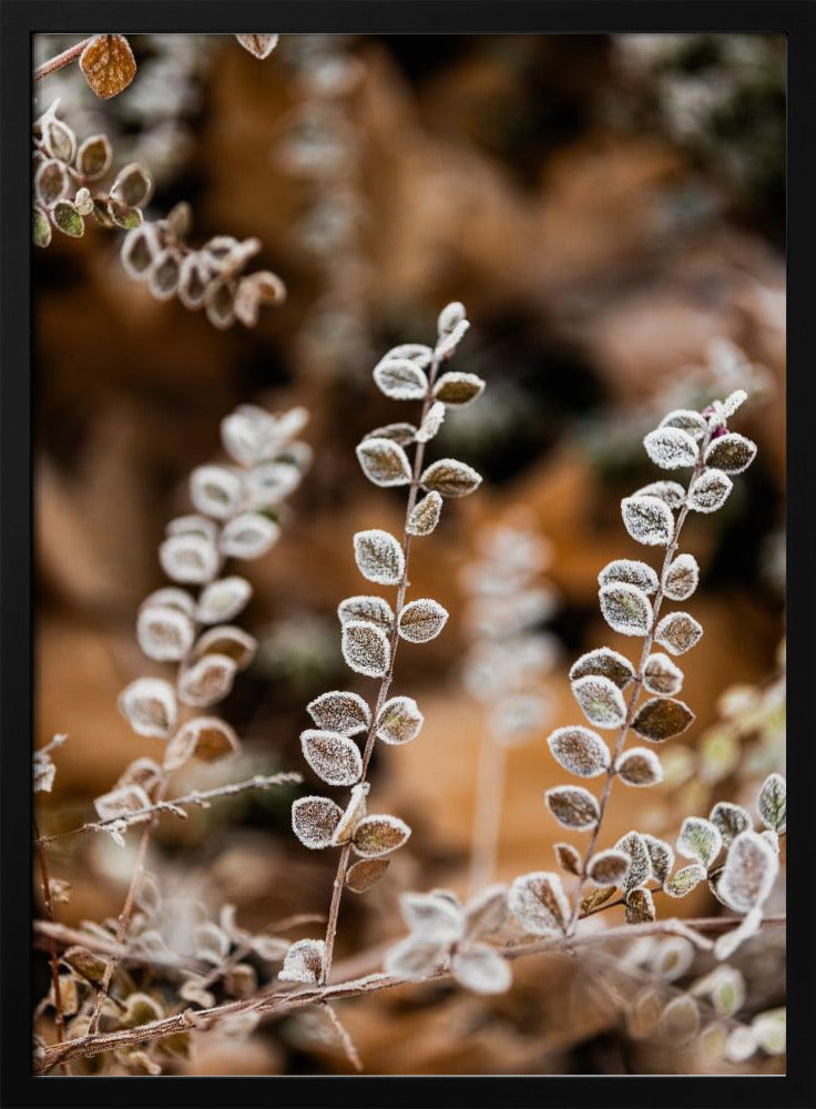 A Winter Morning 2 | Poster