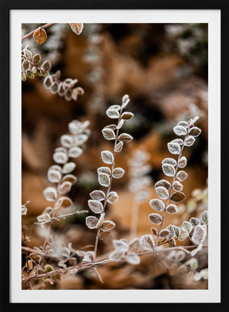 A Winter Morning 2 | Poster