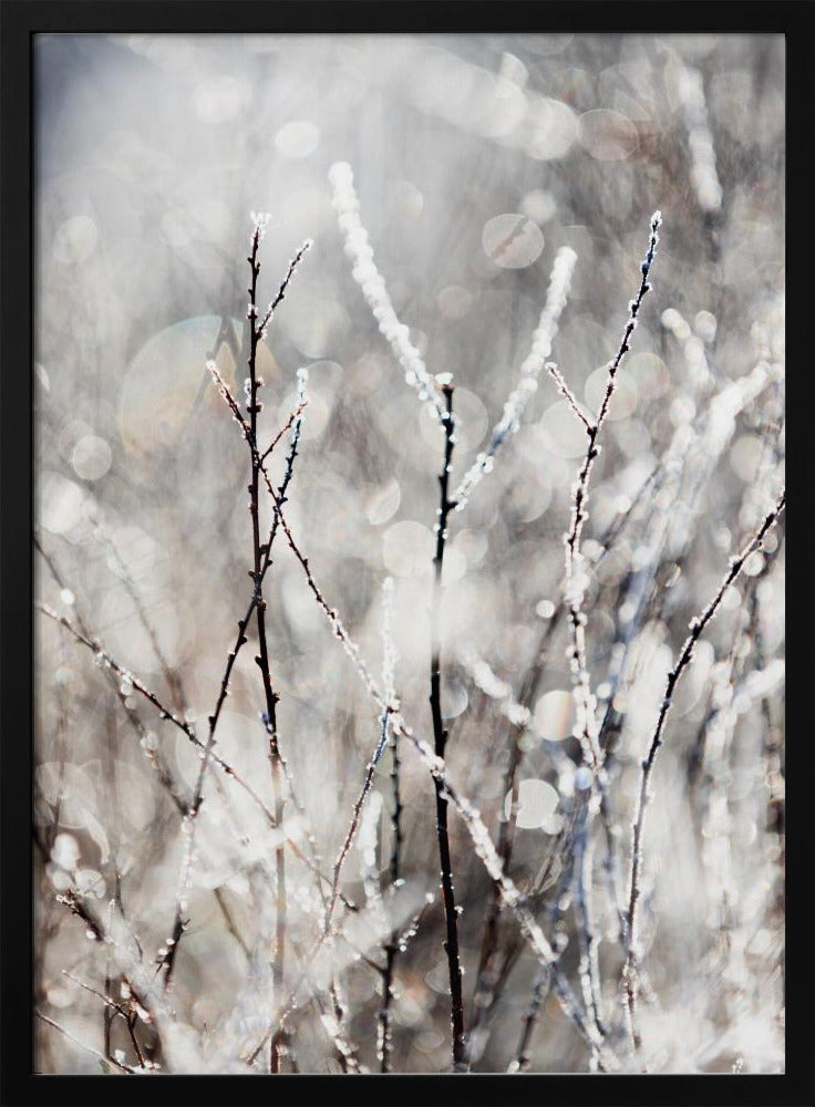 A Winter Morning 4 | Poster