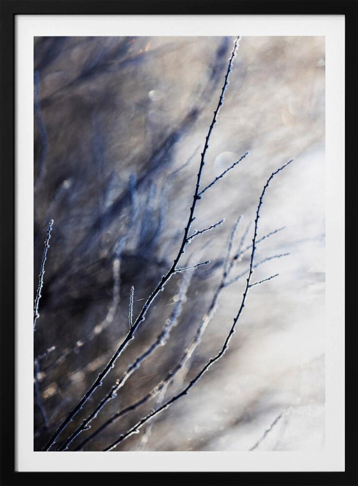 A Winter Morning 7 018a4832 | Poster