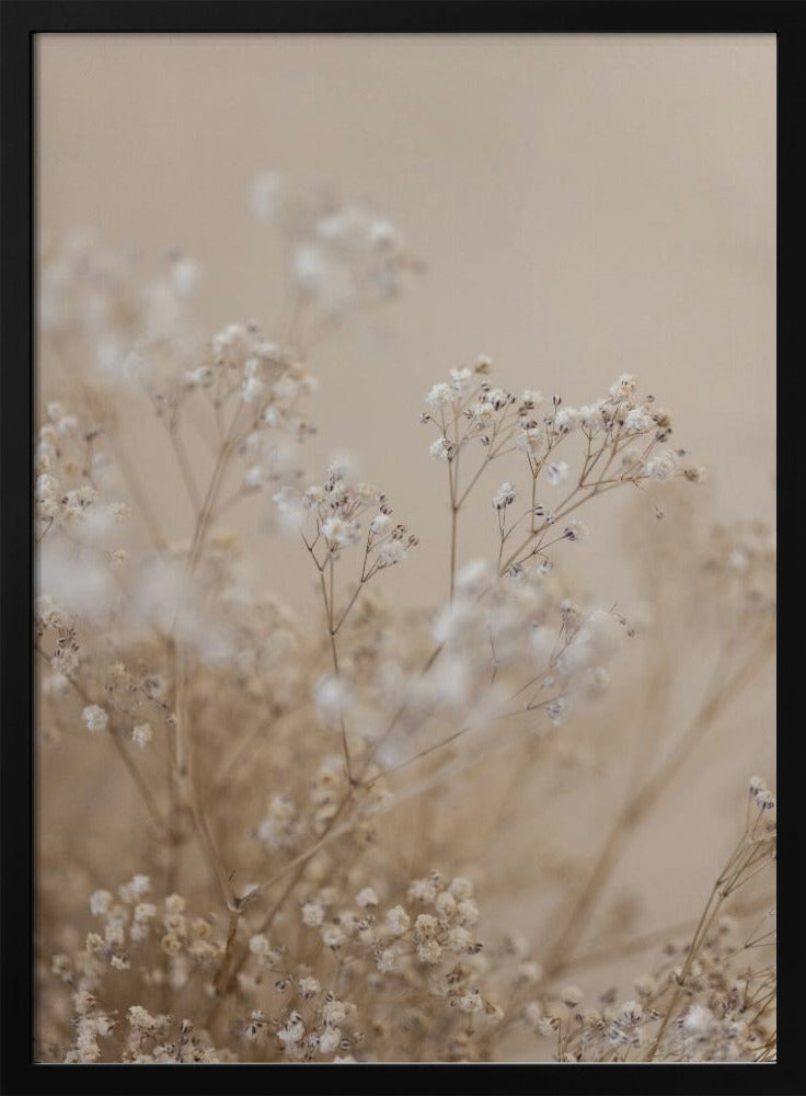 Babys Breath 1 | Poster