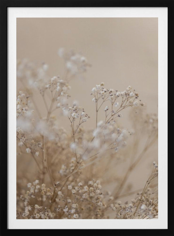 Babys Breath 1 | Poster