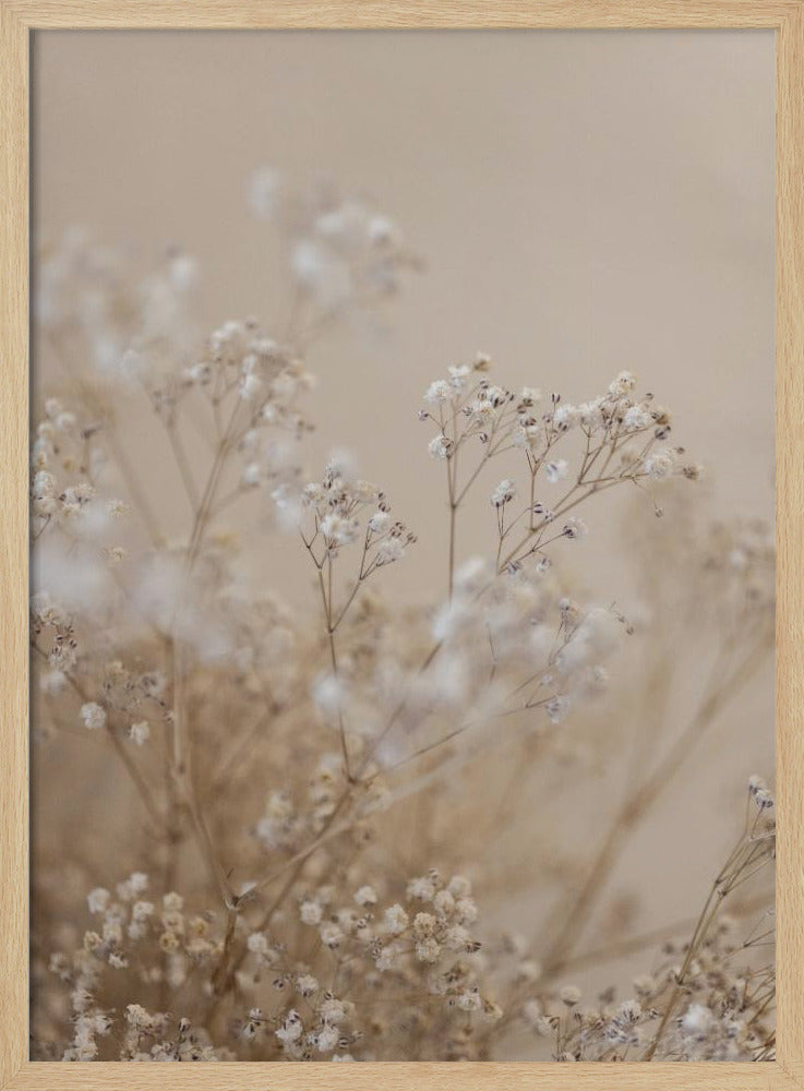 Babys Breath 1 | Poster