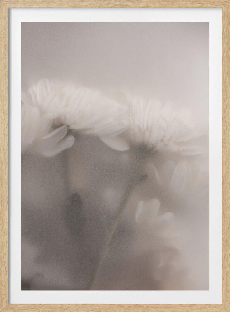 Blurred Flowers 2 | Poster