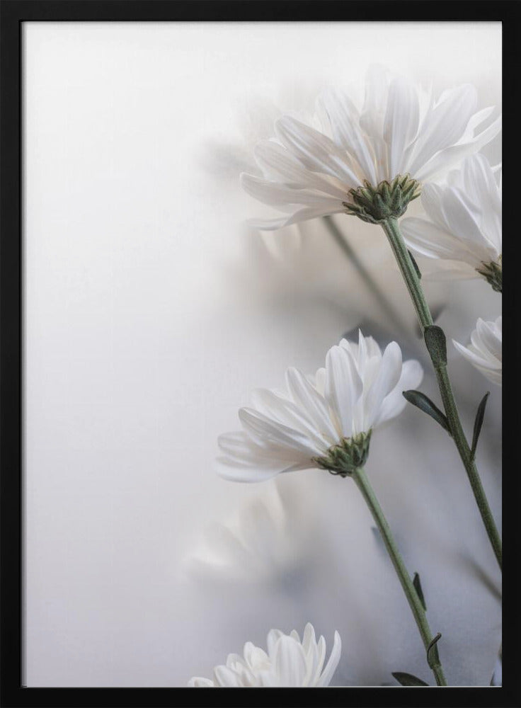 Blurred Flowers 8 | Poster