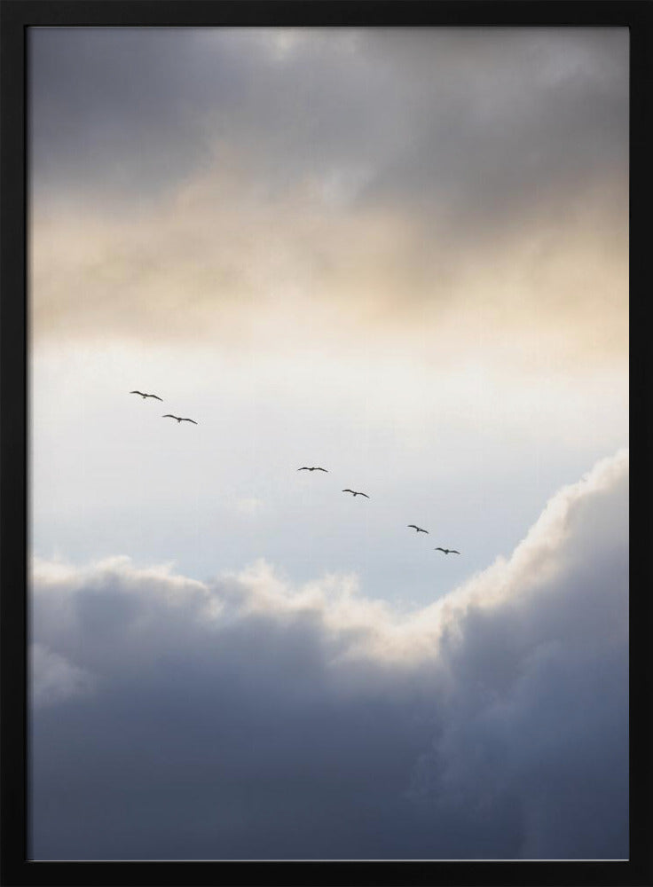 Flying High 10 | Poster