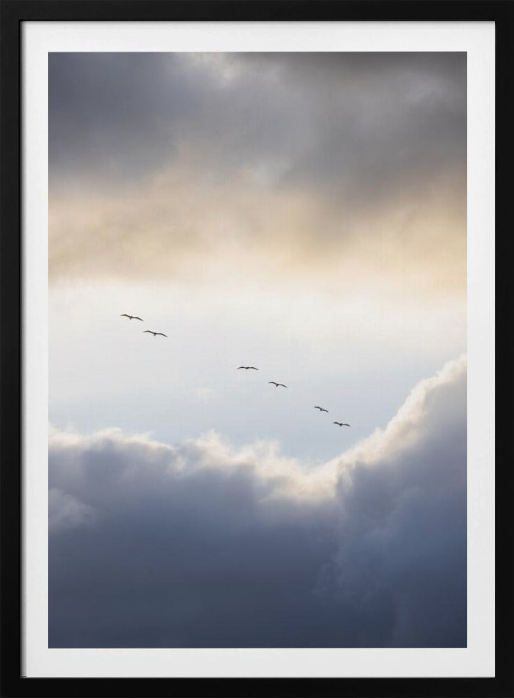 Flying High 10 | Poster