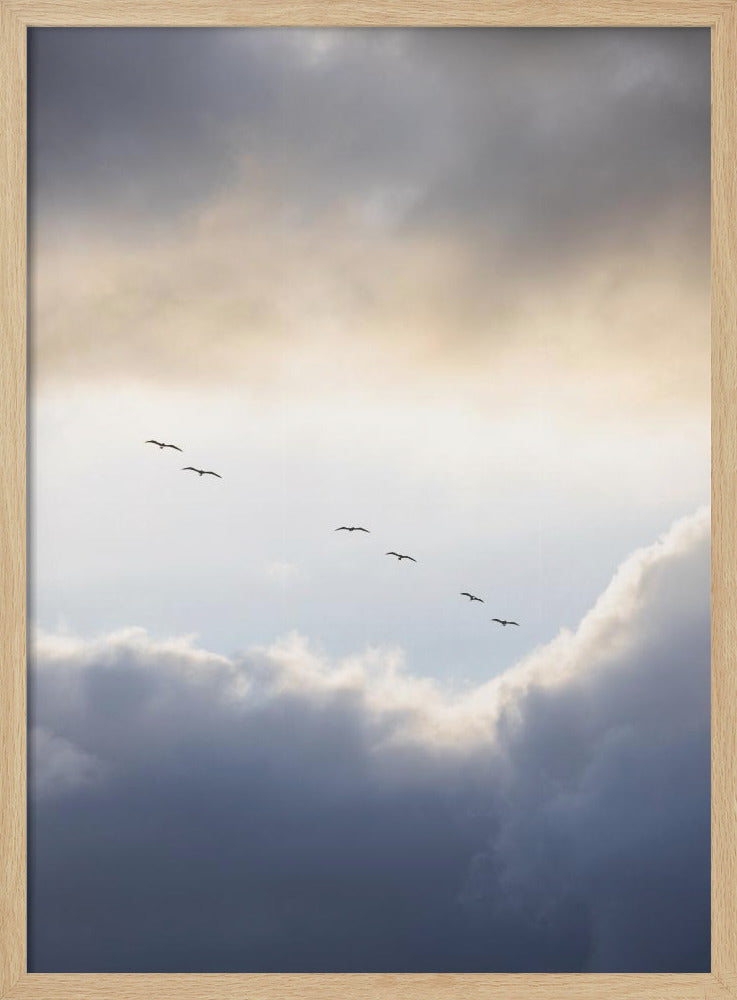 Flying High 10 | Poster