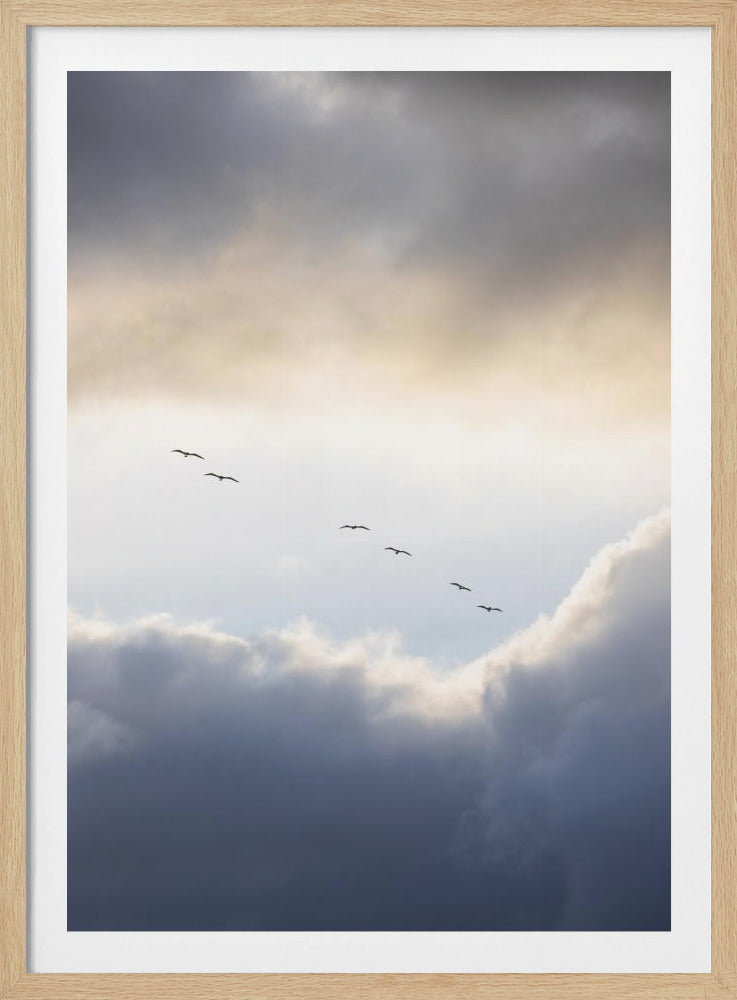 Flying High 10 | Poster