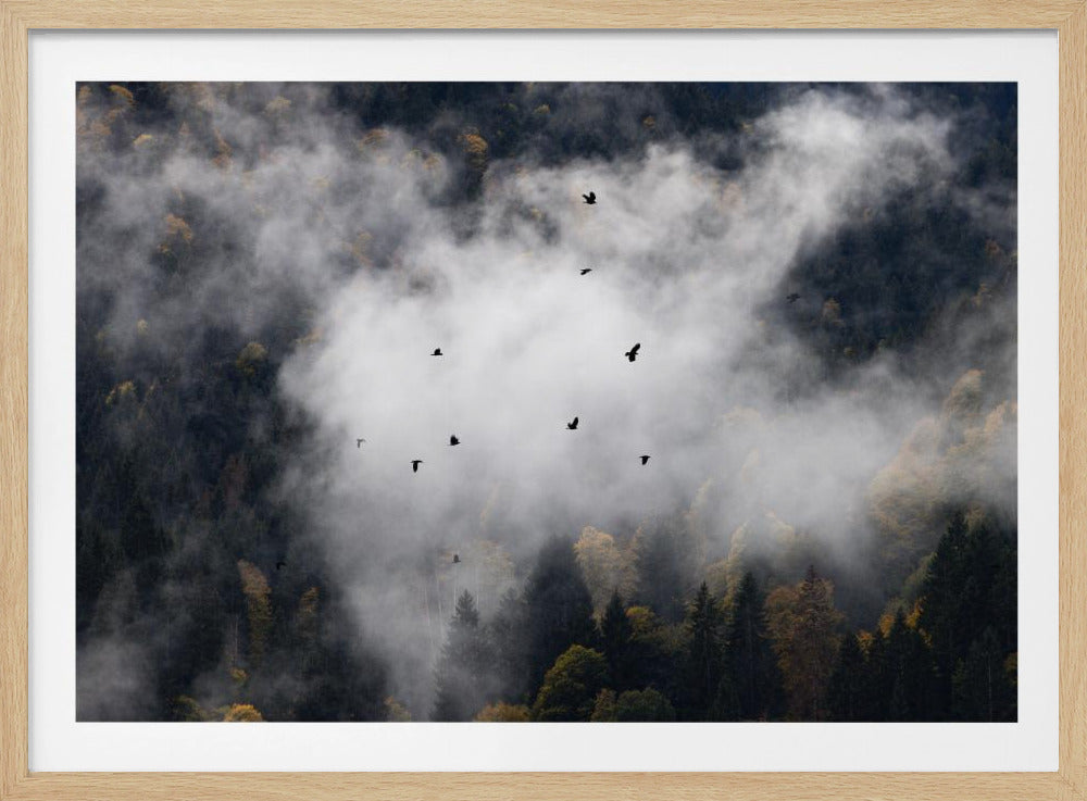 Foggy Woods 8 | Poster