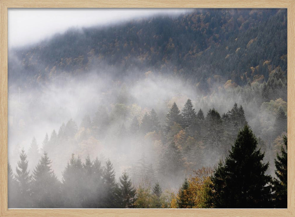 Foggy Woods 9 | Poster