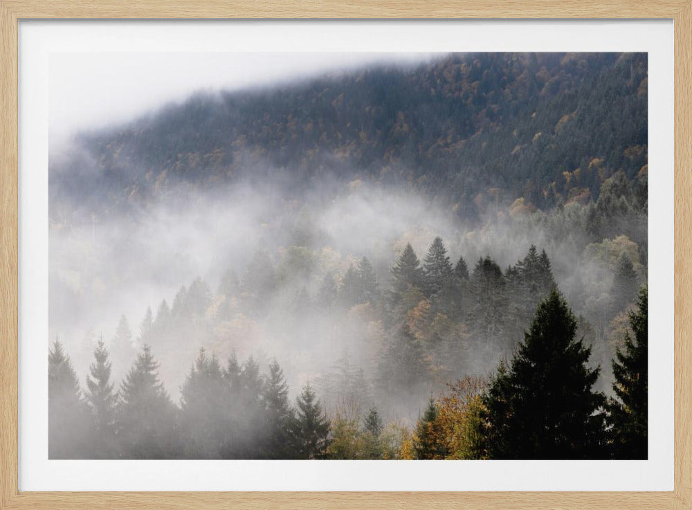 Foggy Woods 9 | Poster