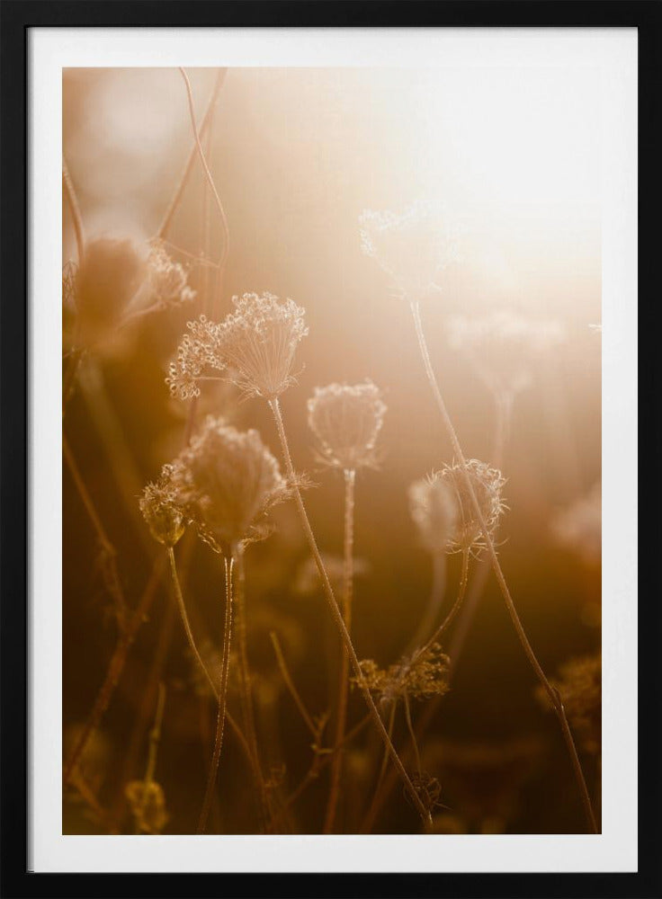 Golden Hour 1 | Poster