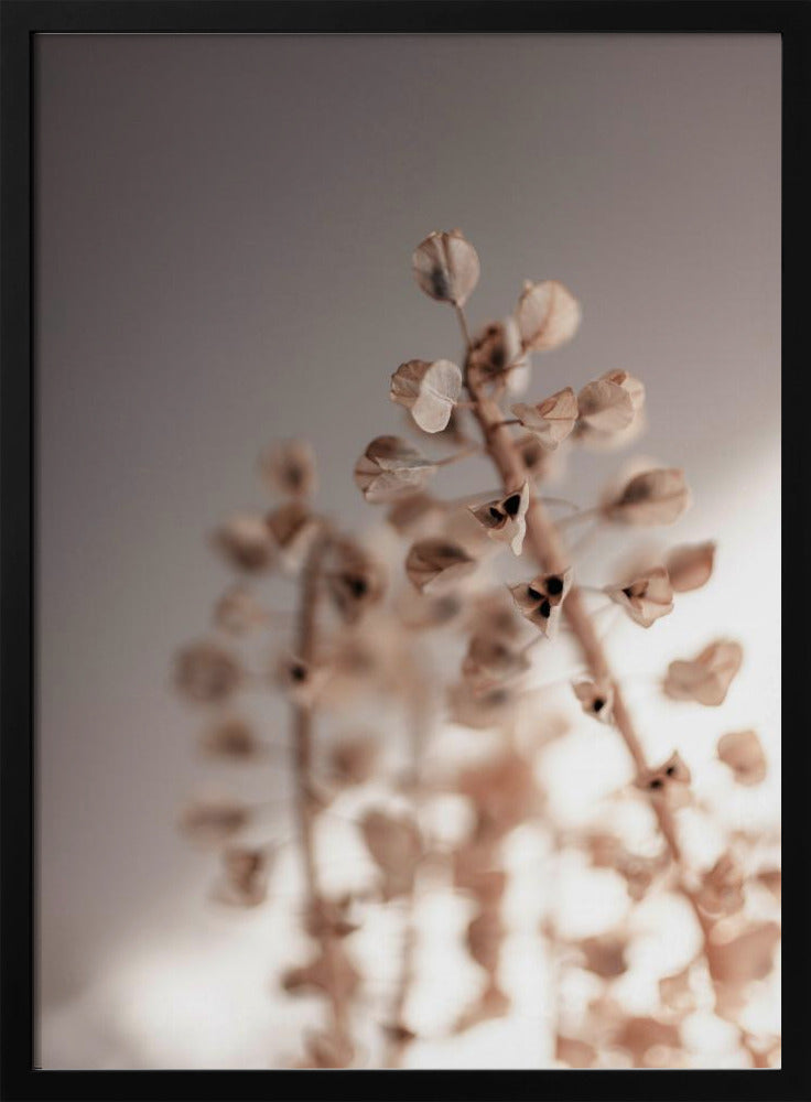 Last Summer 32 | Poster