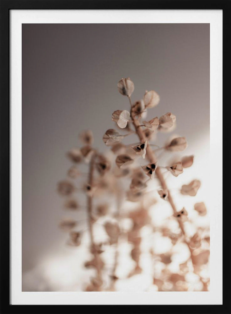 Last Summer 32 | Poster