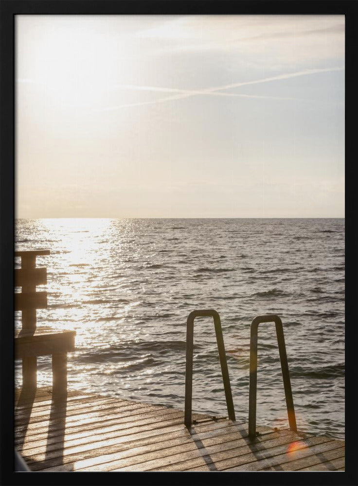 Summer Morning Swim | Poster