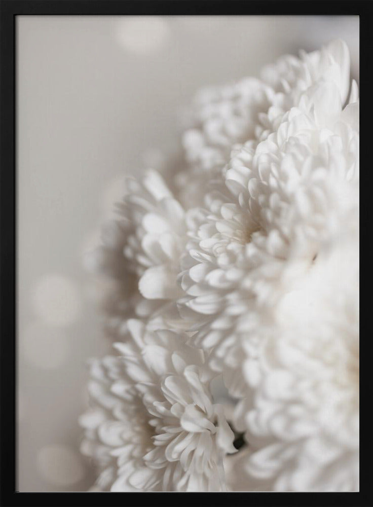 White Flowers | Poster
