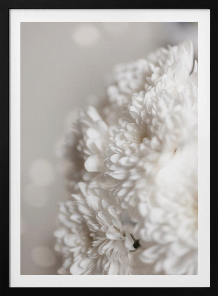 White Flowers | Poster